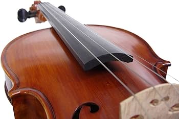 Amazon | 恵那バイオリン 4/4(大人サイズ) ケース付き3点セット